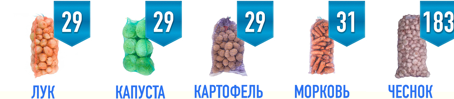 овощи оптом лук капуста картофель морковь чеснок овощи оптом еврофреш